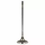 Exhaust Valve