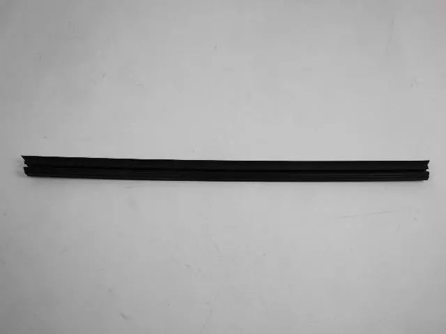Front Door Belt Weatherstrip, Left