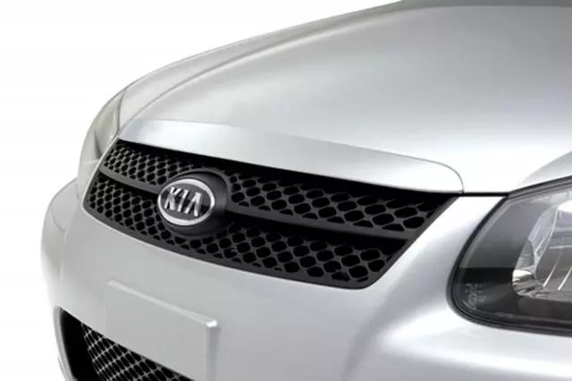 Sport Mesh Grille