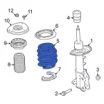 Coil Spring