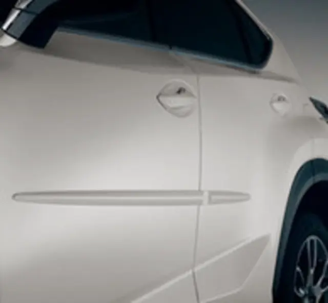 Body Side Moldings - Sonic Titanium