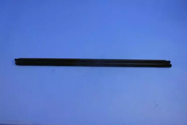 Door Belt Inner Weatherstrip, Right