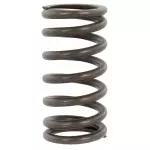 Valve Springs