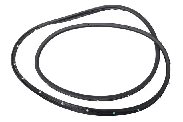 Rear Side Door Weatherstrip