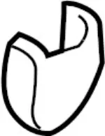 Belt & Retractor Lower Cover