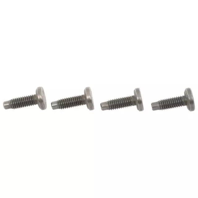 Rear Support Bolt