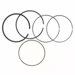 2010-2022 Ford - Piston Rings