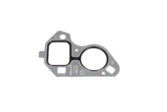 Water Pump Gasket