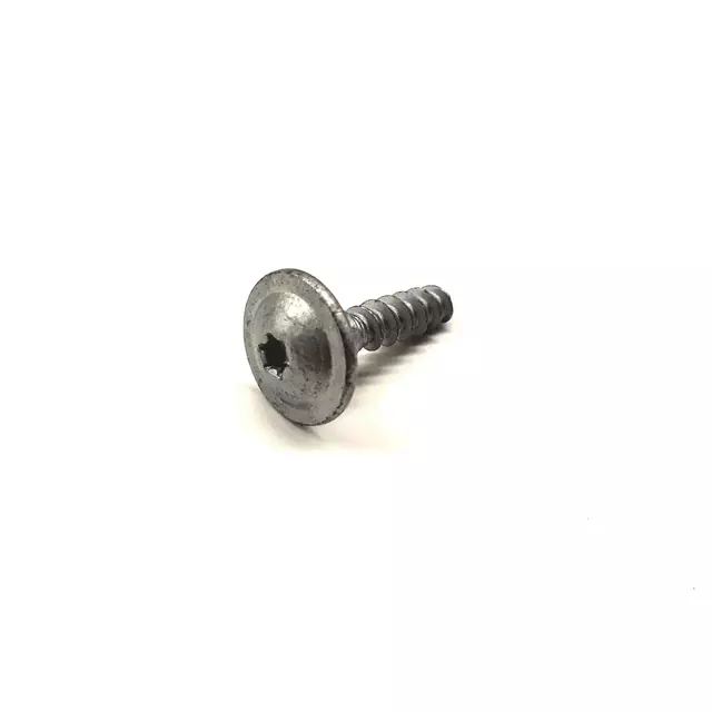 Fog Lamp Assembly Screw