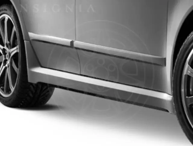 Body Side Molding - Palladium Metallic