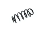 Front Coil Spring, Right Front