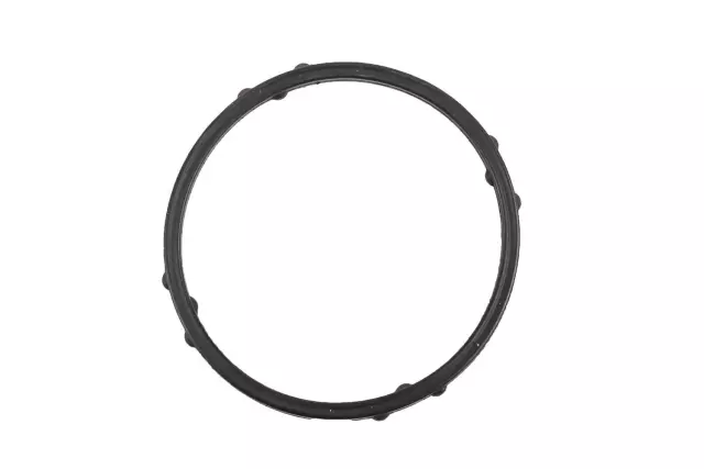 Multi-Purpose O-Ring