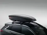 Affiliated: Yakima® SKYBOX 16 - ROOF CARGO BOX
