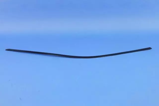 Day Light Opening Molding, Right