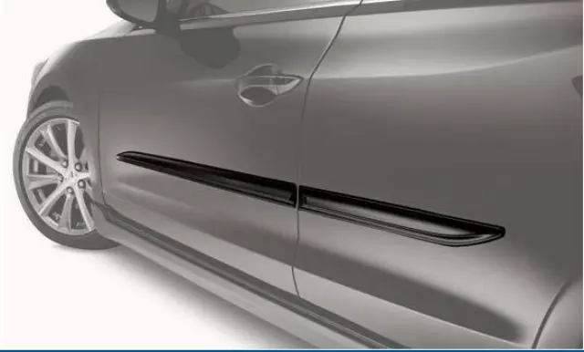 Body Side Molding - Modern Steel Metallic