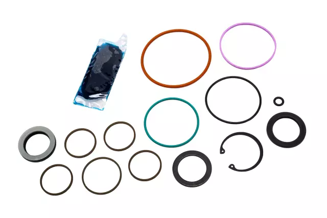 Steering Gear Seal Kit