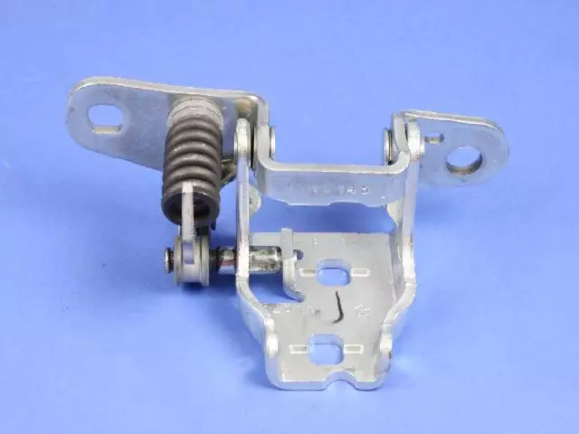 Rear Door Lower Hinge, Left