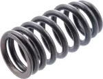 Valve Springs