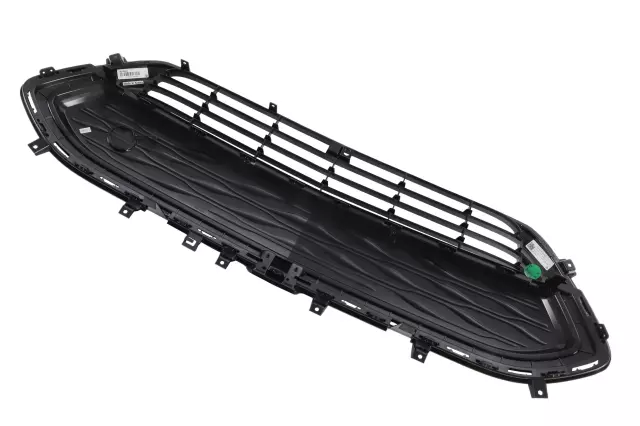 2020 Chevrolet Bolt EV Front Lower Grille 42729653 | GmPW