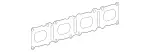 Manifold Gasket