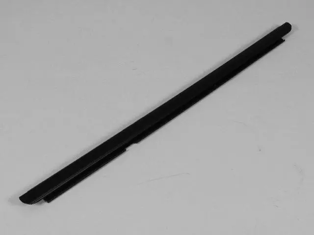 Door Belt Outer Weatherstrip, Right