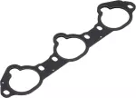 Manifold Gasket