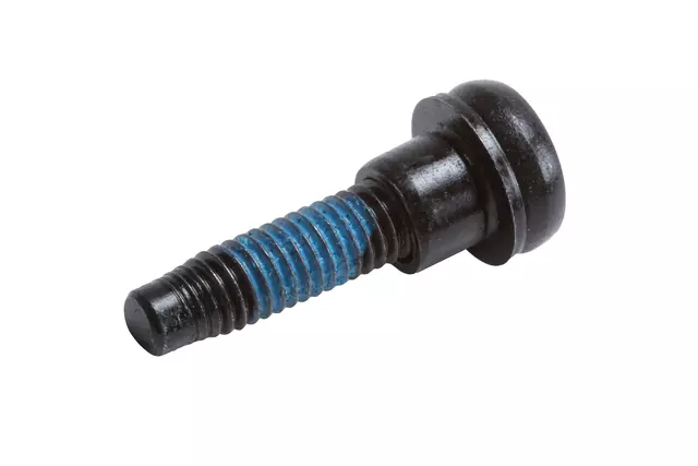 Side Rail Screw