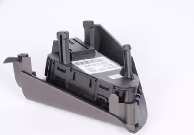 Cocoa and Dark Argent Cruise Control Switch