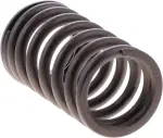 Valve Springs