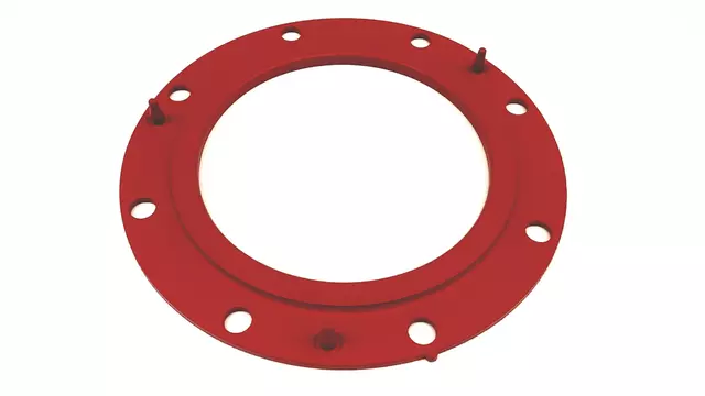 Fuel Pump Tank Seal