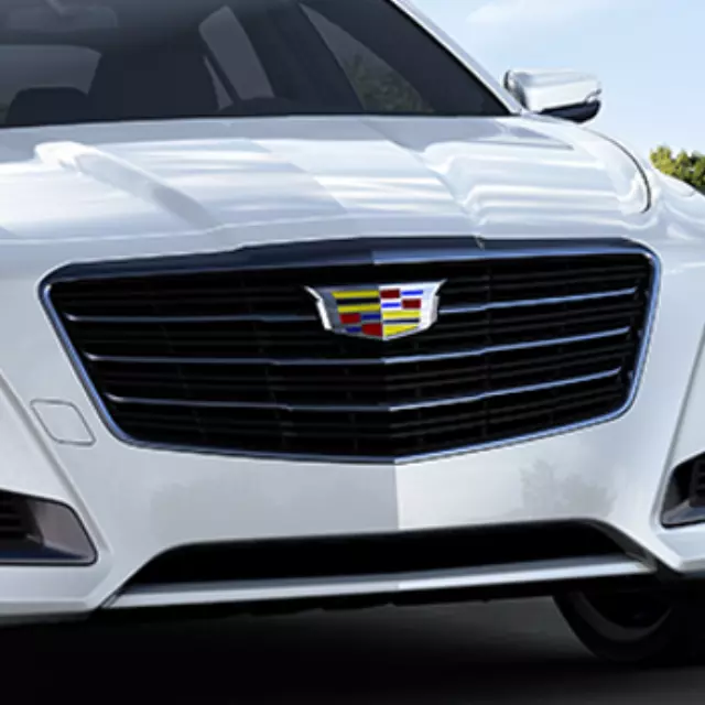 Grille Pkg-Front                          *Install 1.8 - Cadillac (84124949)