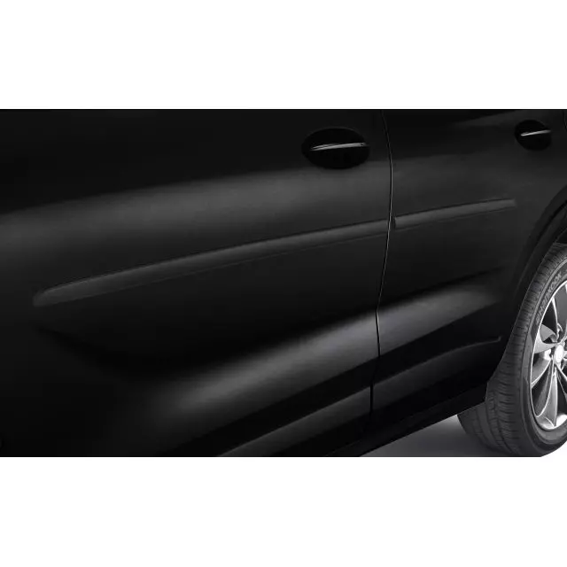 GM Exterior Trim Bodyside Molding 42696958