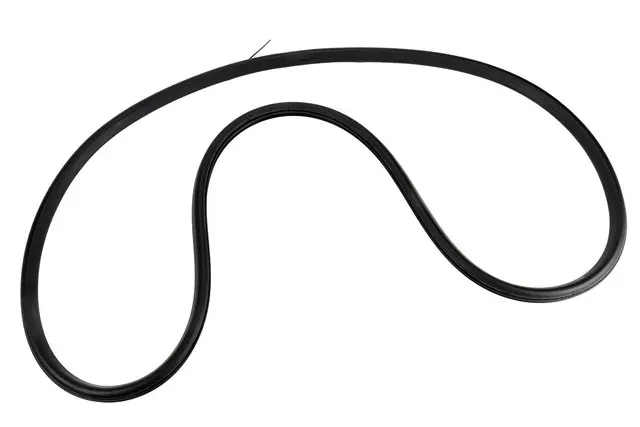 Driver Side Rear Door Weatherstrip