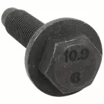 Crankshaft Pulley Bolt