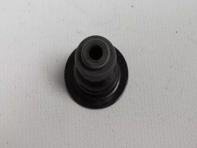 Valve Seals