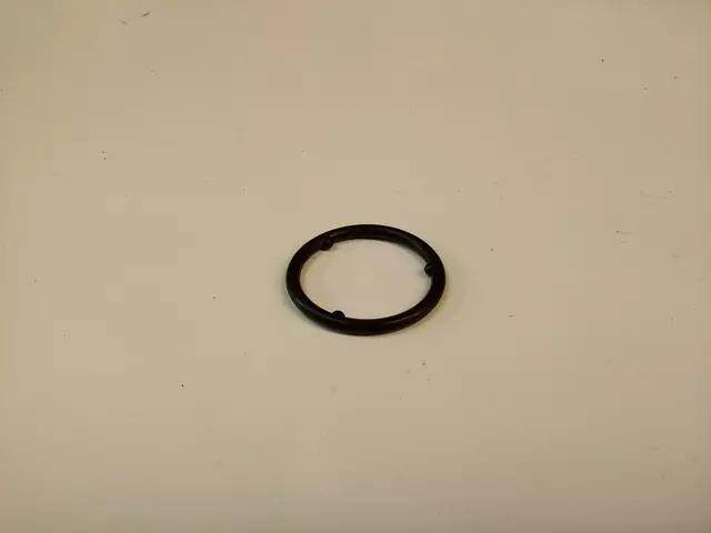 Engine Oil Pan Gasket
