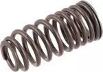 Valve Springs