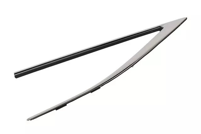 Passenger Side Rear Upper Side Door Opening Molding