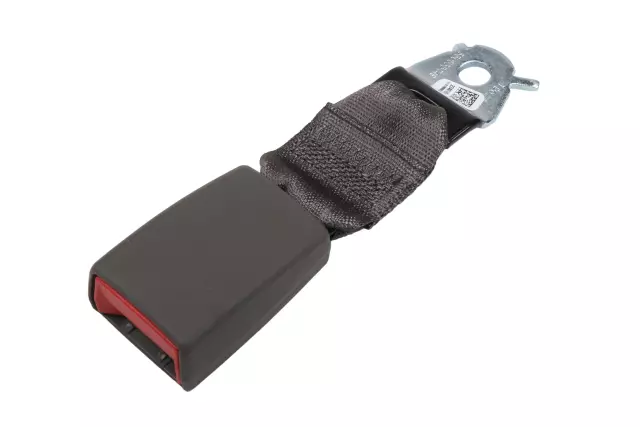 Dark Atmosphere Rear Seat Belt with Buckle