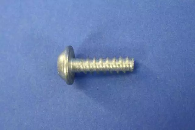 Window Motor Screw