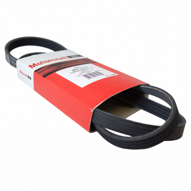 CM5Z8620DA Serpentine Belt 20122022 Ford Ford OEM Parts Direct