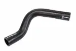 Radiator Outlet Hose