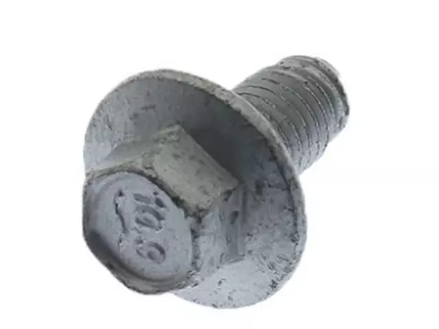 Lower Hinge Mount Bolt