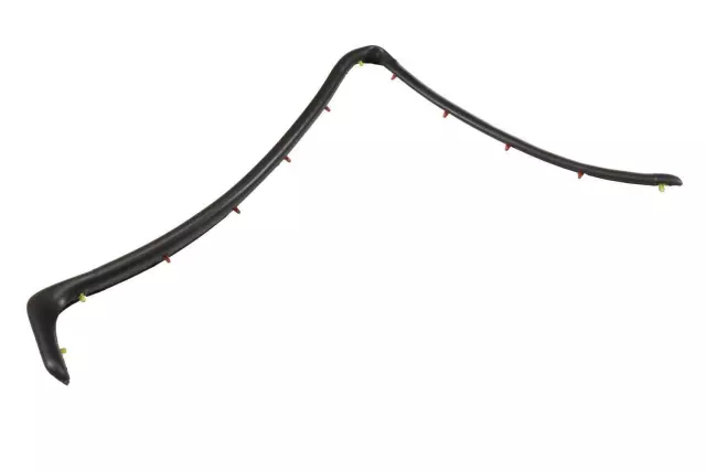 Driver Side Rear Door Lower Weatherstrip