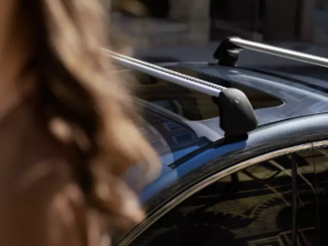 Roof Rack Ditch Molding - Left