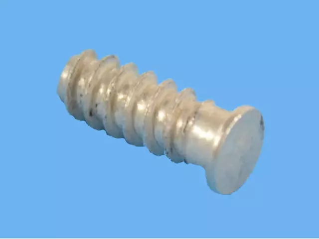 Torx Head Bolt And Washer