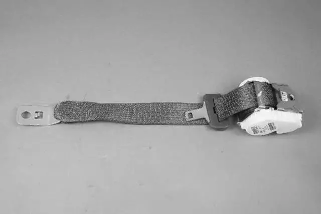 Rear Center Shoulder Seat Belt