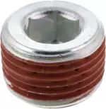 Differential Assembly Drain Plug