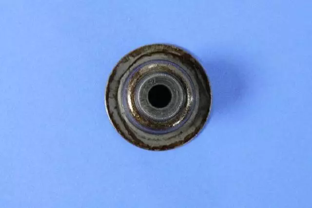 Valve Seals