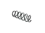 Front Coil Spring, Left